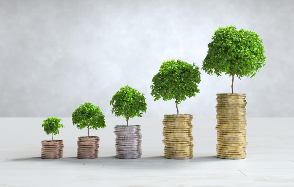 Outsourced Accounting Services UAE